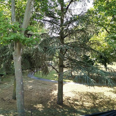 Chambre D'Hote Dans Une Maison Avec Parking Privee Saint-Etienne  Zewnętrze zdjęcie